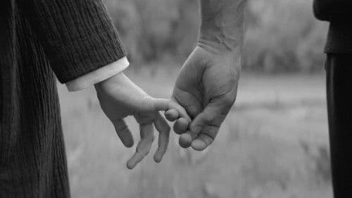 Ми є. Ми поруч Bild 3