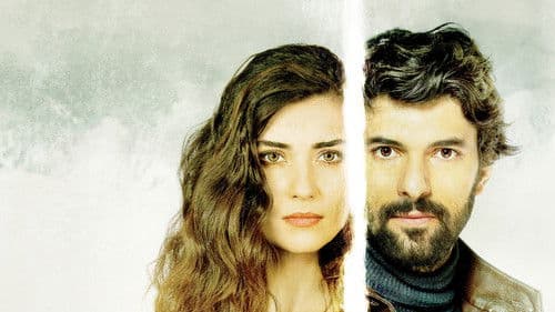 Black Money Love Bild 2