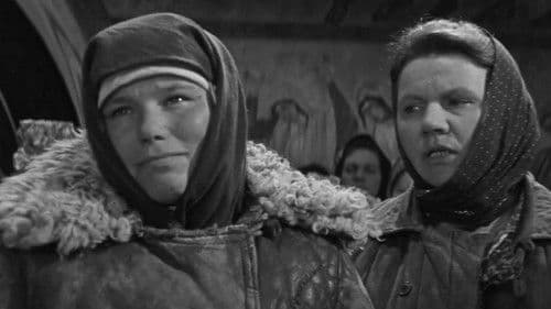 Бабье царство Bild 1