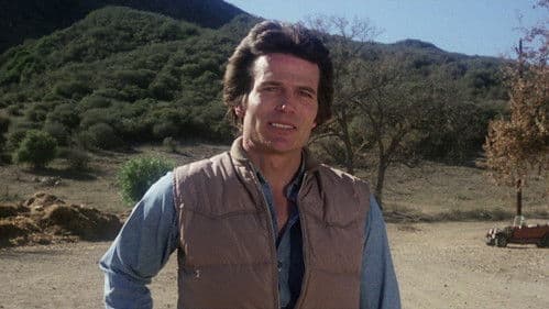 Highway Cowboy Bild 8