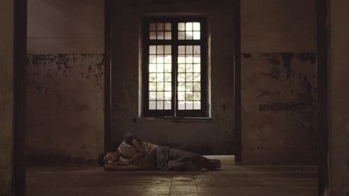 Anima Animae Animam Bild 1