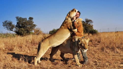 Killer IQ: Lion vs. Hyena Bild 3