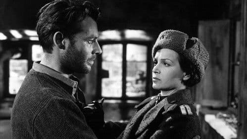 Der Arzt von Stalingrad Bild 5