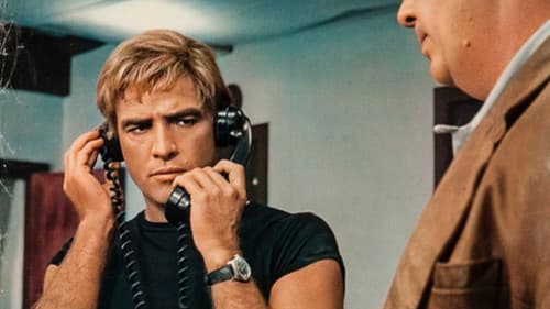 Am Abend des folgenden Tages Bild 8