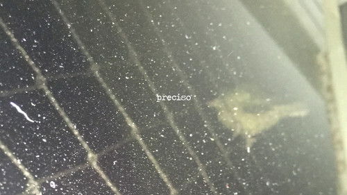 Legítima Defesa Bild 1