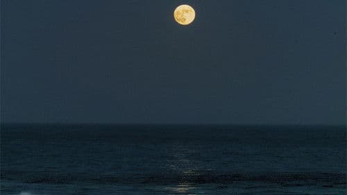 Viata Egeeana Bild 3