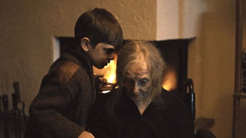 Haile: Bir Aile Kabusu Bild 4