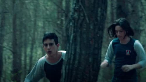 גאליס קונקט Bild 6