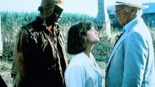 Ein Aufstand alter Männer Bild 1