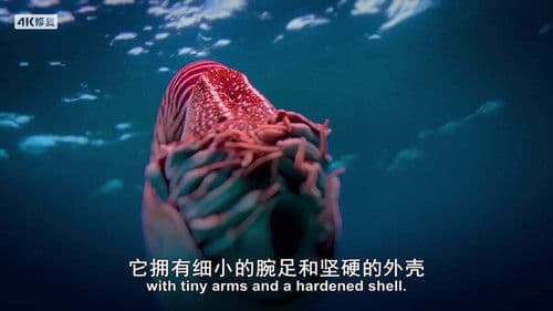 Animal Impossible Bild 6