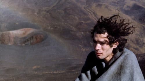 Der Schweinestall Bild 7