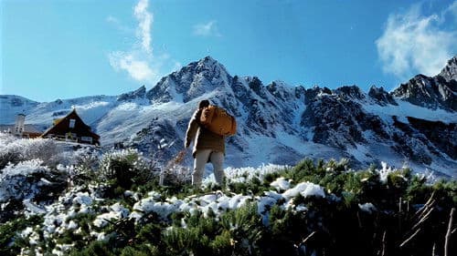 化石の荒野 Bild 2