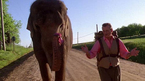 Die dicke Vera Bild 7