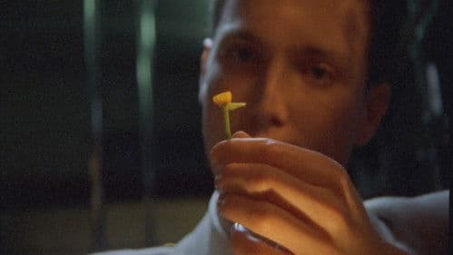 The Man Who Loved Flowers Bild 3