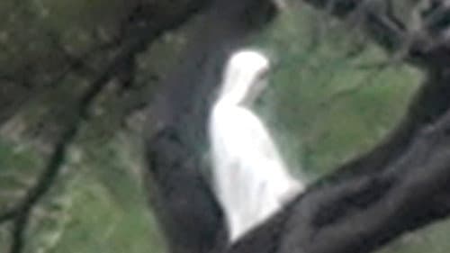 Yo vi a Jesús Bild 2