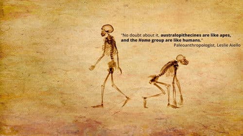 Dismantled: A Scientific Deconstruction of The Theory of Evolution Bild 1