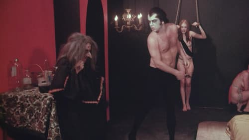 The Bride's Initiation Bild 3