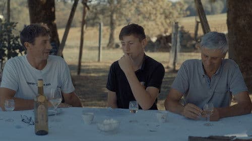 Se souvenir des tournesols Bild 3