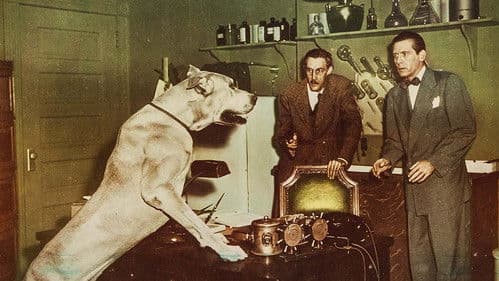 The Face of Marble Bild 2