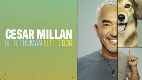 Cesar Millan: Guter Mensch guter Hund Bild 1