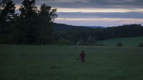 Král Šumavy Bild 7