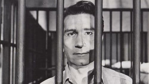 The Big Tip Off Bild 1