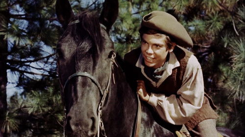 Johnny Tremain Bild 6