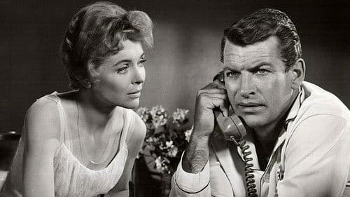 Die Sommerinsel Bild 7