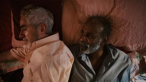 Ponto e Vírgula Bild 1