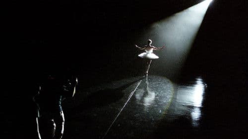 Black Swan: Metamorphosis Bild 5