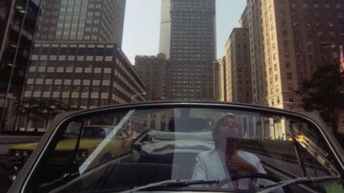 Der Hausbesitzer Bild 3