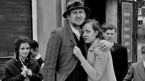 Krajina ve stínu Bild 2