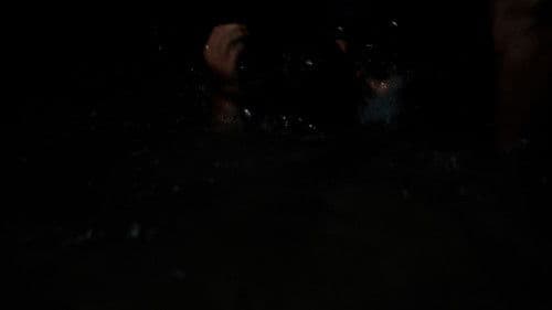 Destination Gotland Bild 4