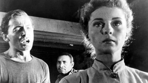 Die letzten Fünf Bild 7