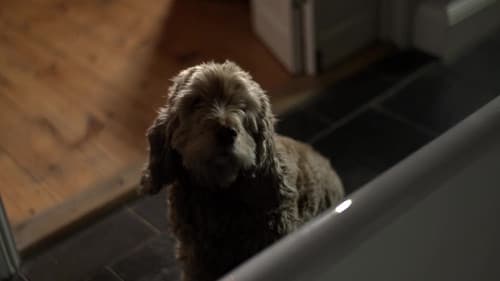 L.T.'s Theory of Pets Bild 3