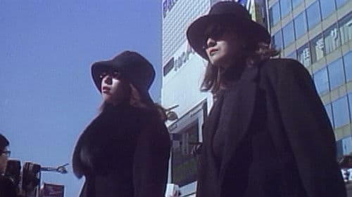 Twilight Dinner Bild 7