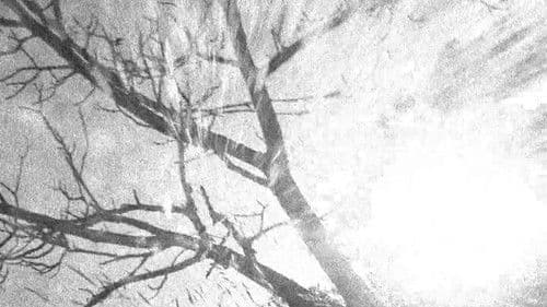 Spectral Ascension Bild 1