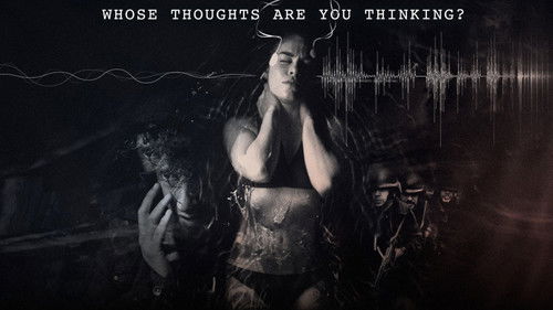 The Holly Kane Experiment Bild 2