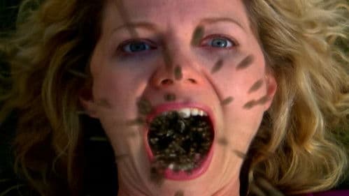 Eaten Alive - Invasion der Killer-Insekten Bild 1