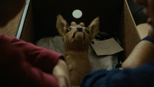 L’ultim Rumantsch - Der letzte Rätoromane Bild 2