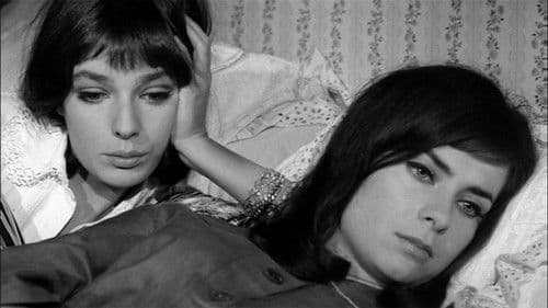 Alles wegen dieser Frauen Bild 1