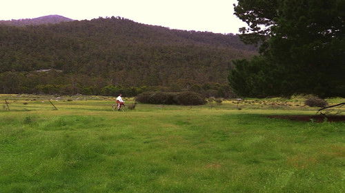 The Little Spinster Bild 2