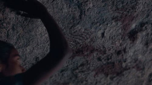 Humans in the Loop Bild 7