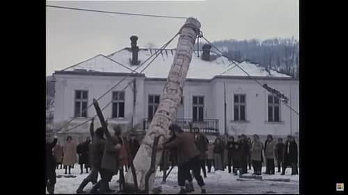 Čovek koji je pojeo vuka Bild 2