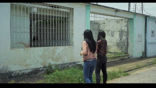 Última conexion Bild 1