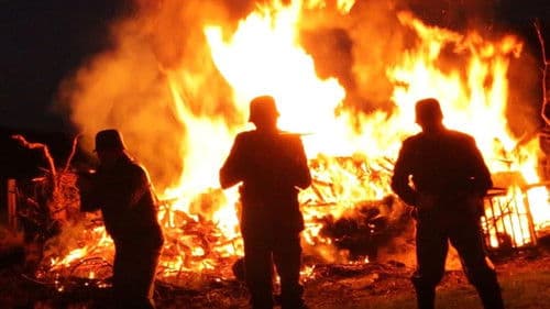 WWII: Operation Phoenix Bild 1