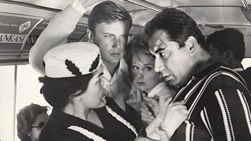 Beyaz Güvercin Bild 3