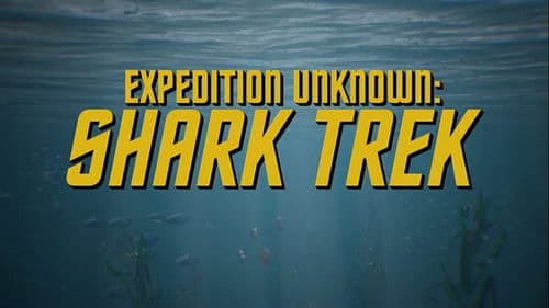 Expedition Unknown: Shark Trek Bild 2