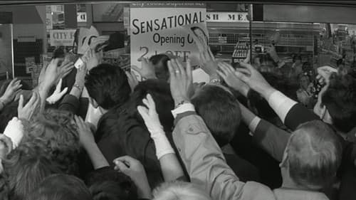 Geliebter Spinner Bild 5