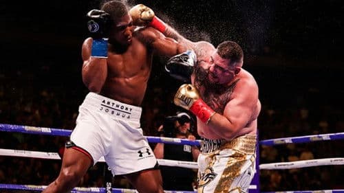One Night: Joshua vs. Ruiz Bild 4